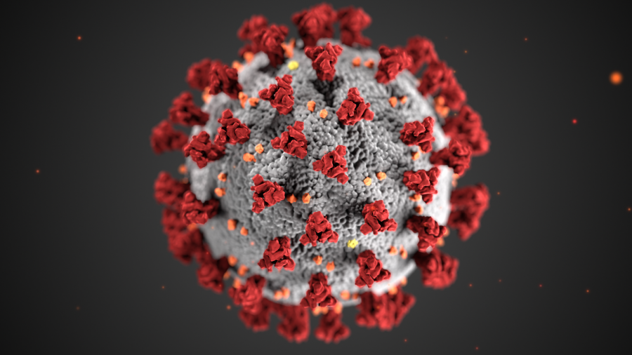 The novel coronavirus that causes COVID-19, viewed on a molecular level; photo courtesy of the Centers for Disease Control and Prevention's image library. 