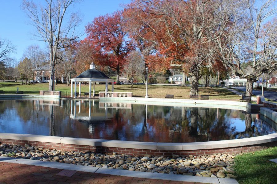 The campus duck pond will soon feature a new duck food feeder and student-designed signage promoting proper feeding of the ducks.